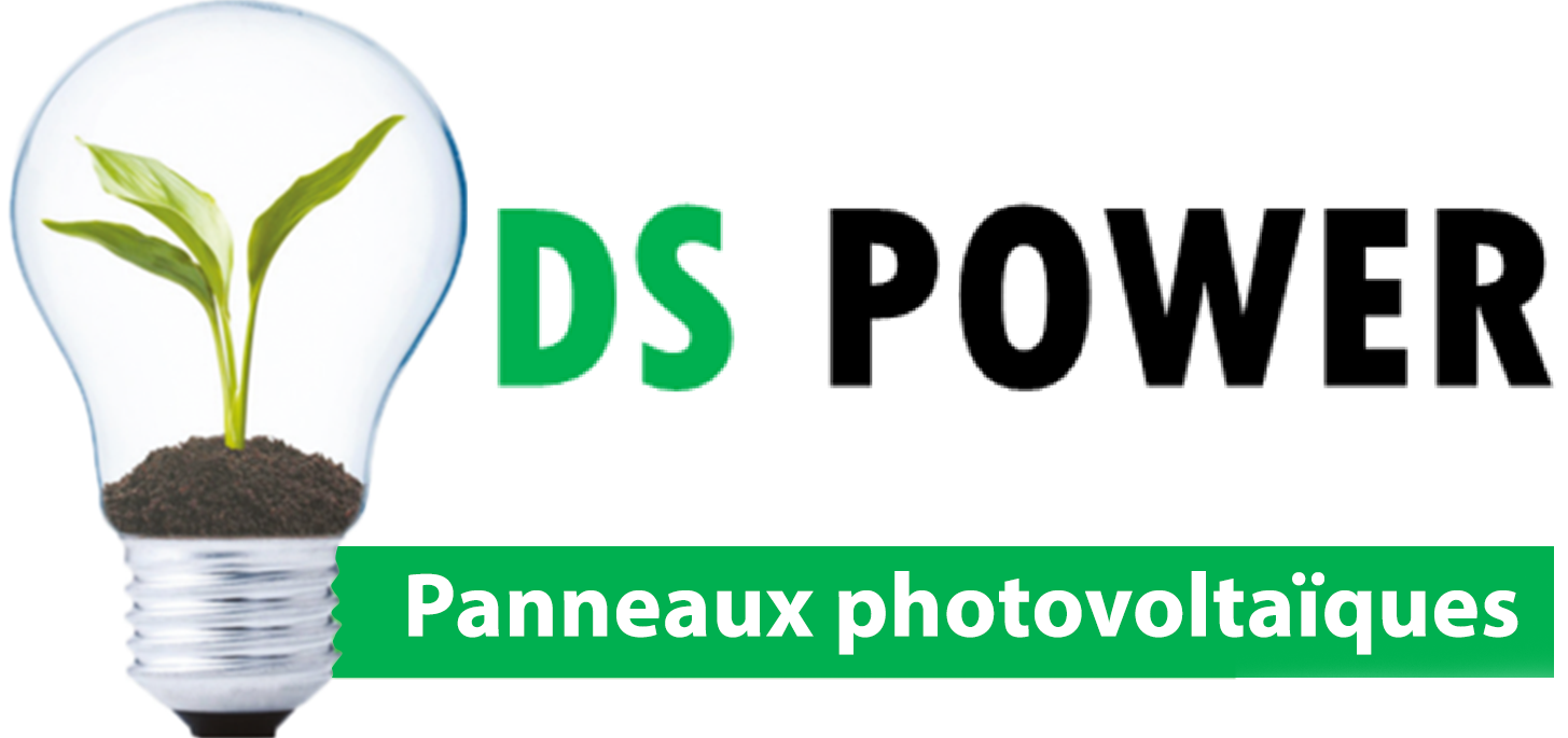 DS Power